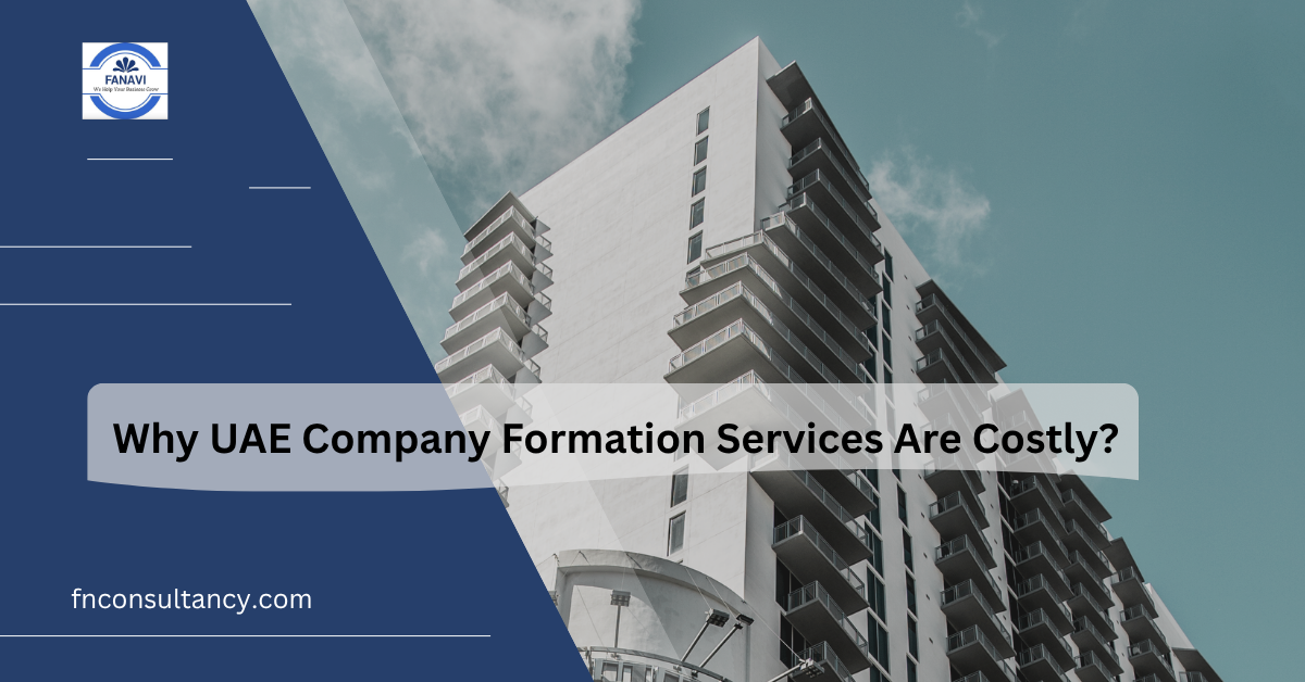 Why UAE Company Formation Services Are Costly?